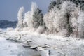 Snowy tress and frozen lake Royalty Free Stock Photo