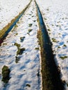Snowy tyre tracks Royalty Free Stock Photo