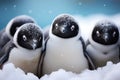 Snowy unity penguins display black and white beauty, huddling for warmth