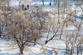 Snowy urban park in sunny winter day Royalty Free Stock Photo