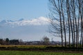 snowy Veleta peak seen from Fuente Vaqueros with poplars in the foreground Royalty Free Stock Photo