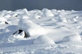 Snowy volcanic rocks in Iceland