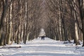 Snowy way. City-dwellers in Dendrarium park, Vladikavkaz, North Ossetia-Alania, Russia. 2014-01-07