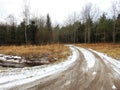 Simple road going in forest in winter, Lithuania Royalty Free Stock Photo