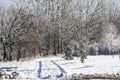 A road in the trees. Amazing winter in the sunny day. A snowy trees, a car tracks, footsteps in snow. A snowy way in the winter. Royalty Free Stock Photo