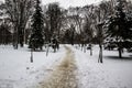 A snowy way. A road in the trees. Amazing winter in the dark day. A snowy trees, footsteps in snow