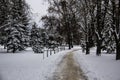 A snowy way. A road in the trees. Amazing winter in the dark day. A snowy trees, footsteps in snow Royalty Free Stock Photo