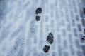Snowy weather. Footprints of a person walking in the snow in cold weather, top view. Film grain photo.