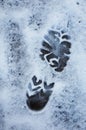 Snowy weather. Footprints of a person walking in the snow in cold weather, top view. Film grain photo.