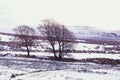 Snowy west Pennine moors.