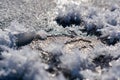 Snowy white background with frosty crystals and curly snowflakes close-up. Winter is a cold season with a blinding white bright