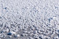 Snowy white background with frosty crystals and curly snowflakes close-up. Winter is a cold season with a blinding white bright