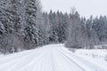 Snowy white forest road where there are snowy trees Royalty Free Stock Photo