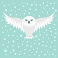 Snowy white owl. Flying bird with big wings. Blue eyes. Arctic Polar animal collection. Baby education. Flat design. Isolated. Sky Royalty Free Stock Photo