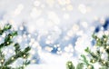 Snowy winter or christmas background with fir twigs and glowing circular lights