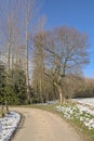 Dirt road along snow covered fields with trees in the Flemish countryside