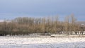 Snow covered fields with trees in the Flemish countryside