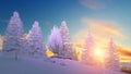 Snowy winter fir forest at scenic sunset