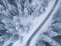 Snowy winter forest with bird`s eye view Royalty Free Stock Photo