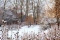 Snowy winter forest and frozen lake. Royalty Free Stock Photo