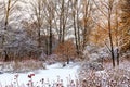 Snowy winter forest and frozen lake. Winter landscape. Christmas background. Royalty Free Stock Photo