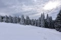 snowy winter forest in Germany with a ski lift on a cold day