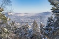 Snowy winter forest in Jena, Thuringia, Germany Royalty Free Stock Photo