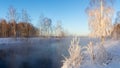 Snowy winter forest with shrubs and birch trees on the banks of the river with fog, Russia, the Urals, January Royalty Free Stock Photo