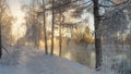 Snowy winter forest with shrubs and birch trees on the banks of the river with fog, Russia, the Urals, January Royalty Free Stock Photo