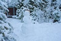 Snowy winter garden view with snowman