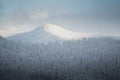 Snowy winter hills