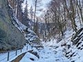 Snowy winter idyll in the canyon of the river Thur die Schlucht des Flusses Thur in the Unterwasser settlement, Switzerland