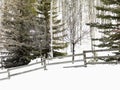 Snowy winter landscape. Royalty Free Stock Photo