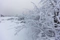 Snowy winter landscape of the east german mountain Royalty Free Stock Photo