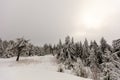 Snowy winter landscape of the east german mountain Royalty Free Stock Photo