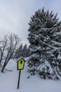 Snowy winter landscape of the east german mountain Royalty Free Stock Photo