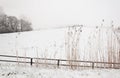 Snowy winter landscape with a fence and rushes