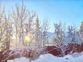 Snowy winter landscape of Lapland. Village house and tree branch covered with snow in sunny morning, evening Royalty Free Stock Photo