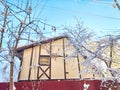 Snowy winter landscape of Lapland. Village house and tree branch covered with snow in sunny morning, evening Royalty Free Stock Photo