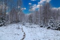Snowy winter landscape in mountain forest. Winter in mountain Royalty Free Stock Photo