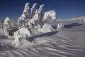 Snowy winter landscape in the mountains.