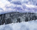 Snowy winter landscape in the National park Sumava, Czech Republic. Royalty Free Stock Photo
