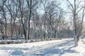 Snowy winter landscape, park and trees covered with snow Royalty Free Stock Photo