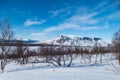 Snowy winter landscape of Sarek national park in swedish lappland