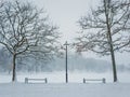 Snowy winter morning in the city park. Bare trees, street lamp and benches covered with snow. Calm seasonal scene, cold air Royalty Free Stock Photo