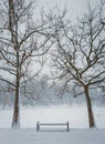 Snowy winter morning in the city park with a bench in the snow between two bare trees. Calm seasonal scene, cold air atmosphere