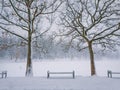 Snowy winter morning in the city park with a bench in the snow between two bare trees. Calm seasonal scene, cold air atmosphere Royalty Free Stock Photo