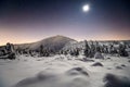 Snowy winter night with moon