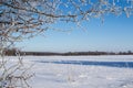 Snowy winter in the Park. Trees covered with white fluffy snow. Winter landscape. Celebration of New year and Christmas