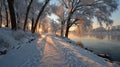 Snowy winter path with sunrise through trees Royalty Free Stock Photo